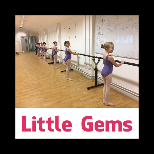 NMTS - Little Gems quick link